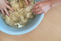 IMG_20231003_123455