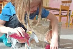 IMG_20231102_103702