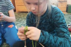 IMG_20231116_115052