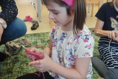 IMG_20231116_115152