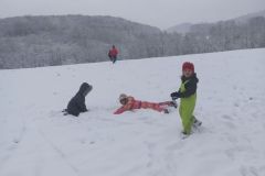 IMG_20231128_114546