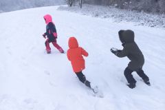 IMG_20231128_114554