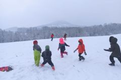 IMG_20231128_114556