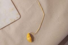 IMG_20231130_073112