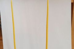 IMG_20231130_094809