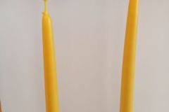IMG_20231130_103448