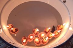 IMG_20231205_093349