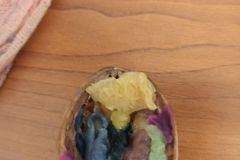 IMG_20231213_130827