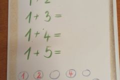 IMG_20240206_095143