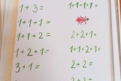 IMG_20240206_095338