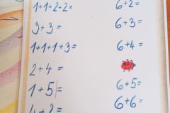 IMG_20240206_095436