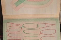 IMG_20240120_173153