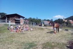 IMG_20190723_104037