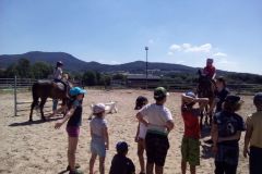 IMG_20190723_115651