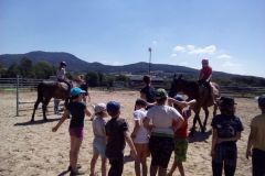 IMG_20190723_115654