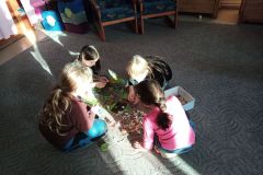 IMG_20221215_133335_047