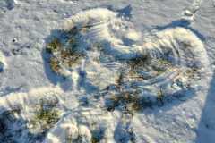 IMG-20221214-WA0002