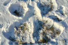 IMG-20221214-WA0003