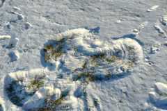 IMG-20221214-WA0004