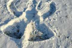 IMG-20221214-WA0005