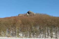 IMG-20221214-WA0007