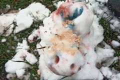 IMG_20230118_150424_8192