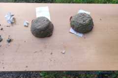 IMG-20230811-WA0008