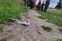 IMG-20230811-WA0018