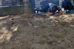 IMG-20230811-WA0034