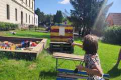 IMG-20230811-WA0037