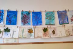 IMG_20221020_081739