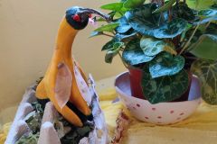 IMG_20221020_081934