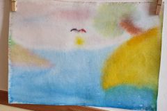 IMG_20221125_125934