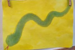 IMG_20221125_125957