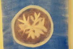 IMG_20230110_081417