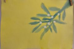 IMG_20230110_081457
