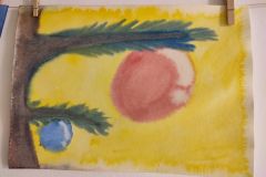 IMG_20230110_081608